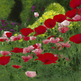 Coquelicots Poster par Jordane D. Grux