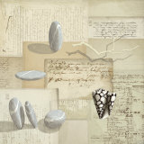 Galets et Coquillages Prints by Fred Minard