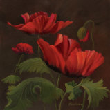 Vibrant Red Poppies II Prints by Gloria Eriksen