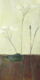 Out of the Garden Posters by Juliane Sommer