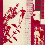 Hibiscus Prints by Marie Madeleine Noiseux
