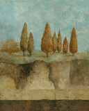 Inspired by Nature I Láminas por Norm Olson
