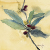 Olivier I Prints by Marthe 