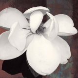 Magnolia Blue II Print by Katrina Craven Magnolia Blue II Print by Katrina Craven