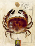 La Pince de la Mer Plakat autor Sabine Gotzes