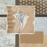 Shell Collage III Prints by Carol Robinson
