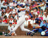 Ryne Sandberg Photo