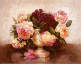 Peony Splendor Affiches par Anne Searle