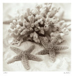 La Mer I Posters par Alan Blaustein
