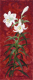 White Lily II Prints by Anne Searle