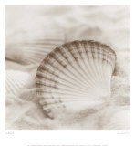 La Mer III Posters par Alan Blaustein