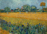 Field of Flowers near Arles Affiches par Vincent van Gogh
