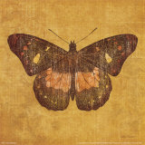 Ochre Butterfly Prints by Katie Pertiet