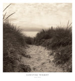 Dune Path Print by Christine Triebert Dune Path Print by Christine Triebert