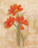 Spicy Orange Cosmos Arte di Carol Rowan