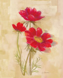 Spicy Red Cosmos Prints by Carol Rowan