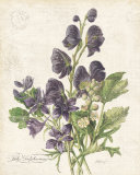 July Delphinium Posters by Katie Pertiet