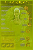 Chakras and Mudras Poster Chakras and Mudras Poster
