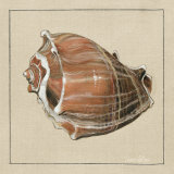 Neptune III Prints by Diana Watson
