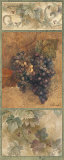 On the Vine I Posters by Albena Hristova