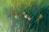 Summer Sparrows Posters tekijänä Ellen Granter Summer Sparrows Posters tekijänä Ellen Granter