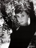 Audrey Hepburn Posters av Philippe Halsman