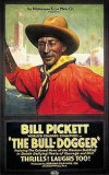 Bulldogger Poster