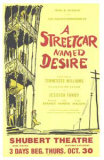 A Street Car Named Desire Póster por Don Freeman