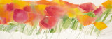 Poppy Ribbon Yellow Prints by Marta Peuckert