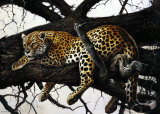 Laziness Poster by Renato Casaro