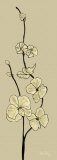 Gold Blossom Flowers Láminas por Debbie Halliday