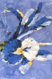 Blue Iris Kunst av Nicoletta Belletti