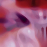 Evolution XVI Prints by Ortwin Klipp