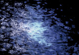 Liquids III Print by Ortwin Klipp