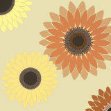 Brote de girasol Láminas Brote de girasol Láminas