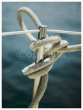 Tying the Knot Art by Jeff Kauck