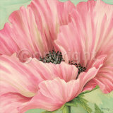 Pink Poppy Flower Head Prints by Lynne Misiewicz