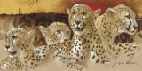 Rest in the Sunset Prints by Joadoor 