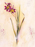 Lilas Composicion VI (detail) Print by Atenea 