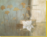 Teal Lily Stretched Canvas Print by Carol Robinson