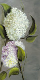 Hortensia Ideal II Posters by Ximena 