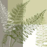 Abstract Fern Pôsters por Hanna Vedder Abstract Fern Pôsters por Hanna Vedder