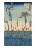 Irises at Horikiri Prints by Ando Hiroshige