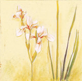 Lilas Composicion II (detail) Póster por Atenea