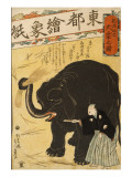 Imported Elephant Láminas por Yoshiiku Ochiai