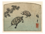Meeting of Two Turtles Prints