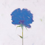 Flores Azules III (detail) Print by Llompart 