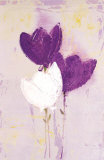Fiori II Posters by Celeste 