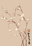 Almendro Oriental IV Prints by Paz 