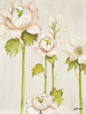 Flor Arlequin IV Prints by Luisa Romero